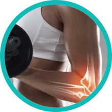 Strengthens Bones and Teeth