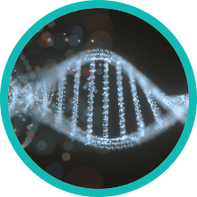 Magnesium and protein production