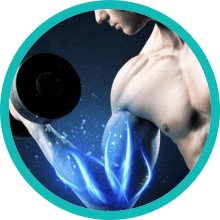 Aids Muscle Recovery